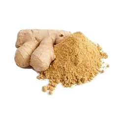 Dry Ginger